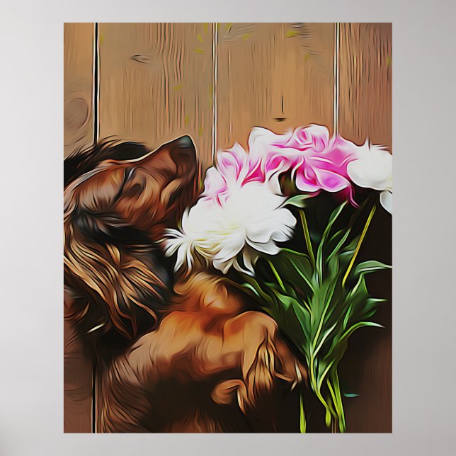 Poster Dachshund Deitado No Chão De Madeira (Frente)