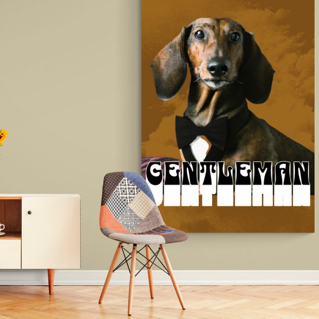 Poster Dachshund Dog Gentleman (Criador carregado)