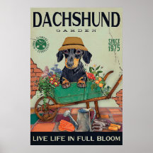 Dachshund Gardening oferece citações engraçadas