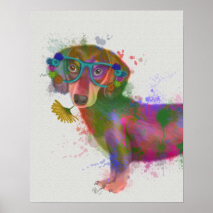 Poster Dachshund & Glass Rainbow Splash