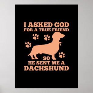 Poster Dachshund Is My True Friend