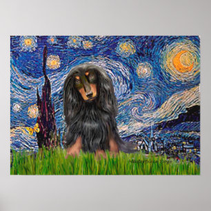 Póster Dachshund (LHBT) - Noite estelar