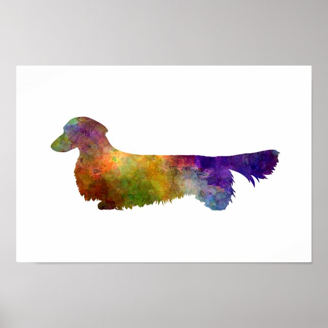 Poster Dachshund Long Haired  in watercolor-2 (Frente)