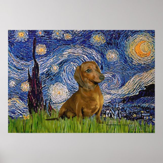 Poster Dachshund (Marrom1) - Noite Estrelada (Frente)