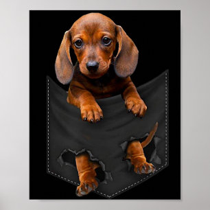 Poster Dachshund No Meu Pocket Dachshund Weiner Dog Dift