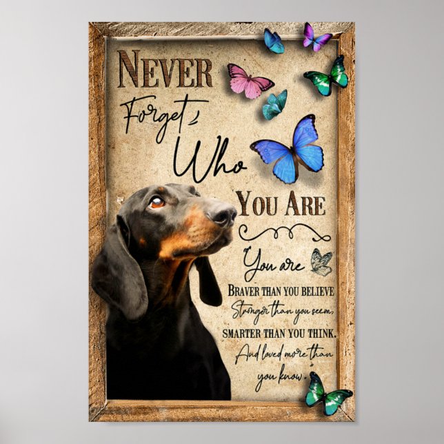 Poster Dachshund Nunca Esquece Quem Você É (Frente)