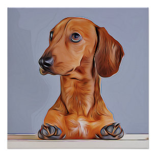 Póster Dachshund Olhando Para Longe O Cachorro Poster de