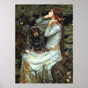 Poster Dachshund (pelo longo BT) - Ophelia Sentada