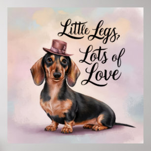 Poster Dachshund Pequenas Pernas Muito Amor