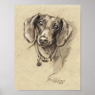 Poster - Dachshund portrait size 8.5" x 11"