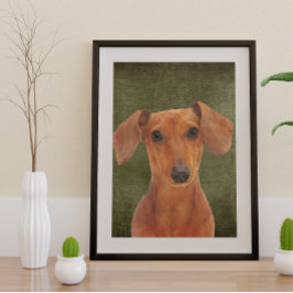 Póster Dachshund Poster
