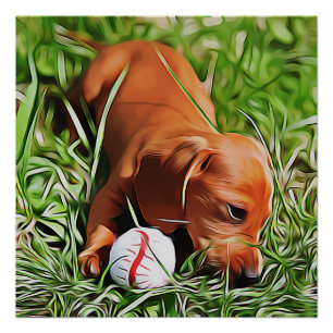 Póster Dachshund Puppy Poa Em Grama Com Bola Xmas Pos