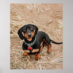 Poster Dachshund Puppy Vê A Câmera