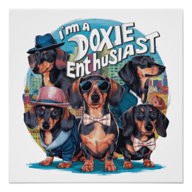 Póster Dachshund, sou um Entusiasta Doxie (Frente)