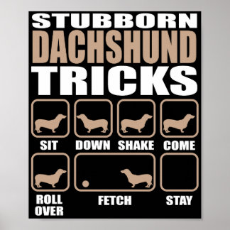 Poster Dachshund Tricks design