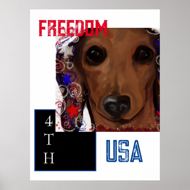 Poster Dachshund Vermelho      (Frente)