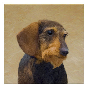 Póster Dachshund (Wirehaired) Pintura Original para Cacho