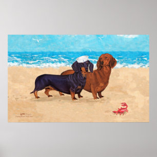 Poster Dachshunds na Praia