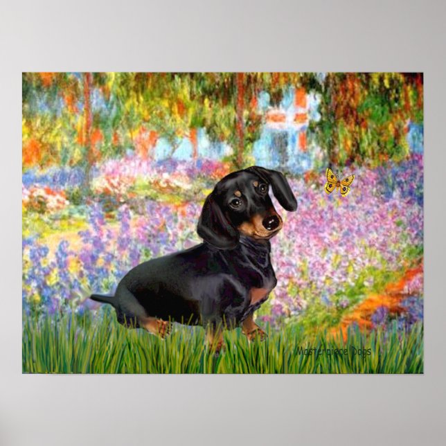 Póster Dacshund (preto e castanho 16) - Jardim (Frente)