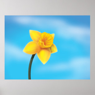 Póster Daffodil amarelo brilhante