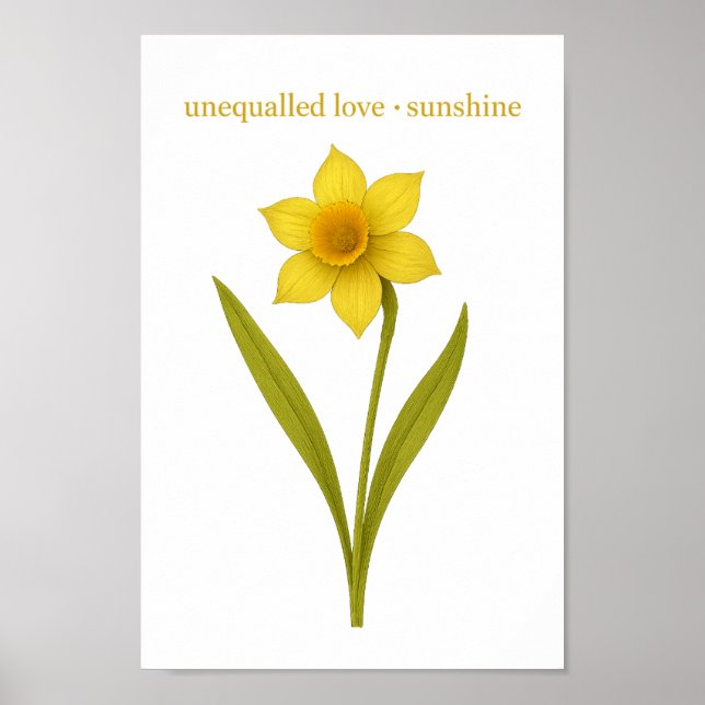 Poster Daffodil - Amor inigualável, sol (Frente)
