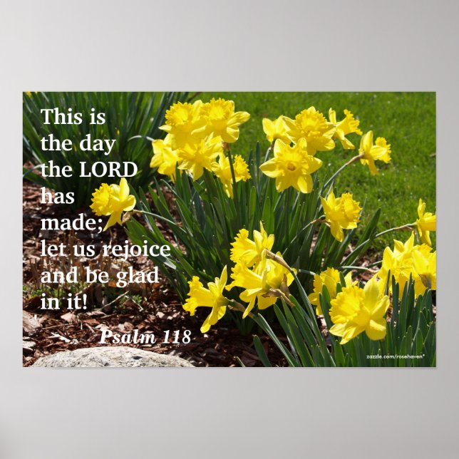 Poster Daffodil Psalm 118 (Frente)