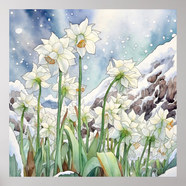 Poster Daffodil Sob Arte De Parede De Neve, Quadrado Flor (Frente)
