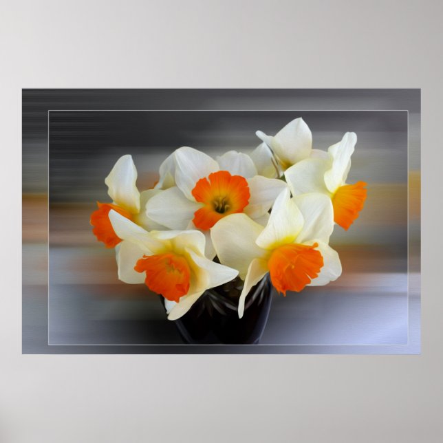 Poster Daffodilos de primavera precoce (Frente)