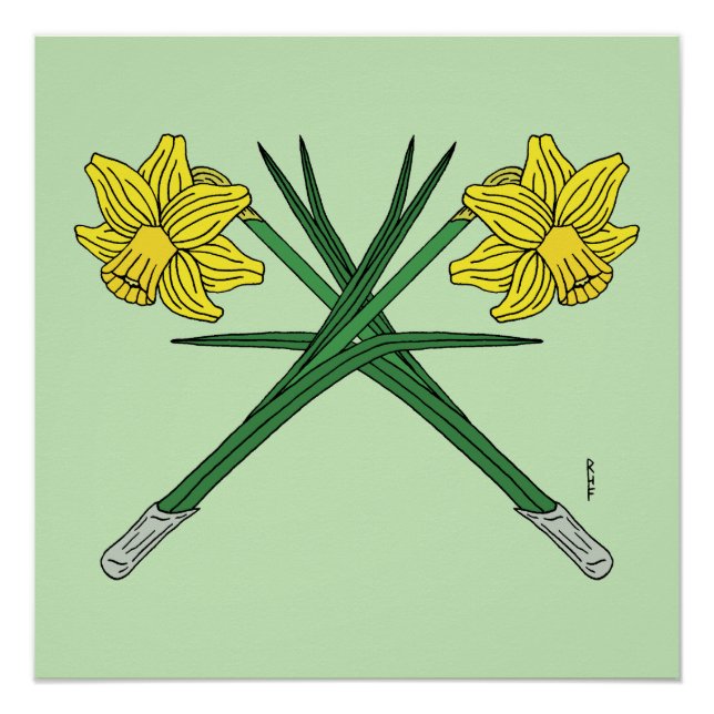 Póster Daffodils cruzado (Frente)