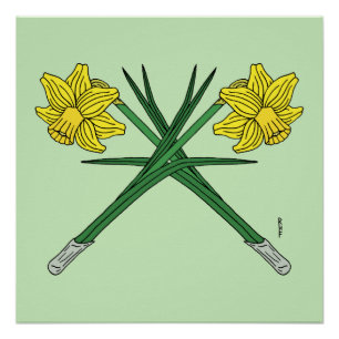 Póster Daffodils Cruzados