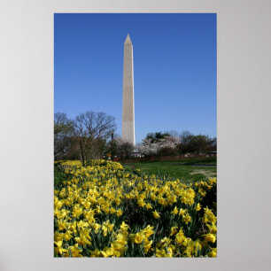Póster Daffodils do monumento de Washington