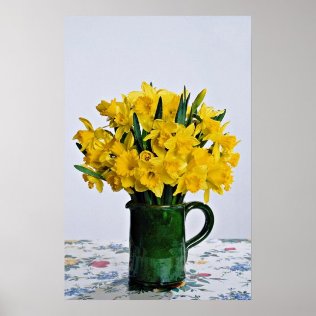 Poster Daffodils em flores verdes de vaso (Frente)