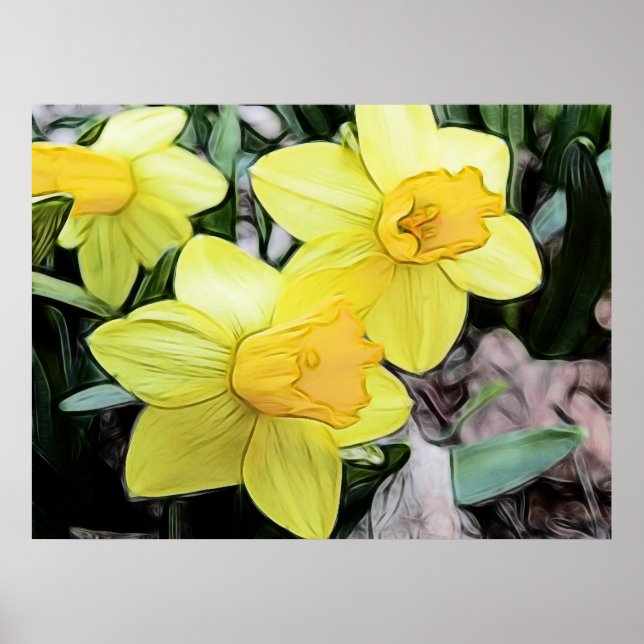 Póster Daffodils Primavera amarelo (Frente)