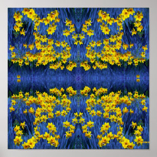 Póster Daffodils Refletindo