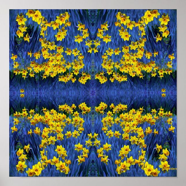 Póster Daffodils Refletindo (Frente)