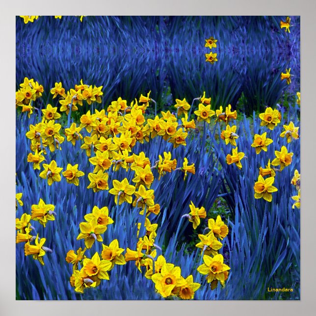 Póster Daffodils Refletindo (Frente)
