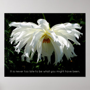 Poster Dahlia Branca, citação inspiradora