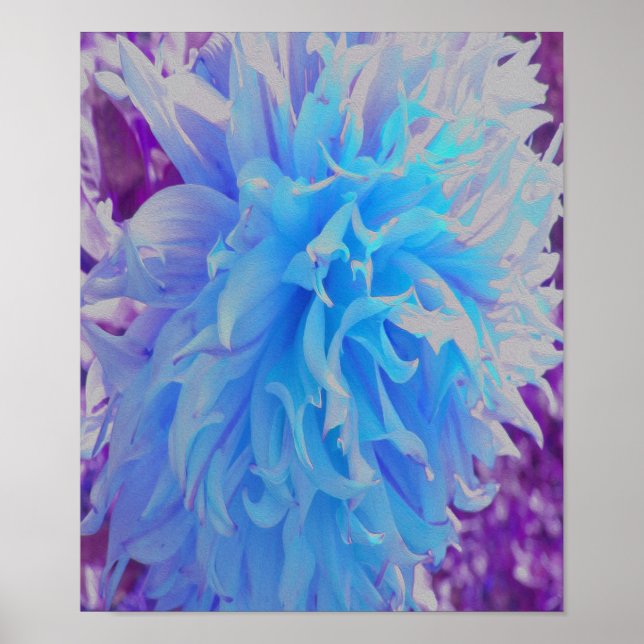Poster Dahlia Flor Decorativa Azul Elegante (Frente)