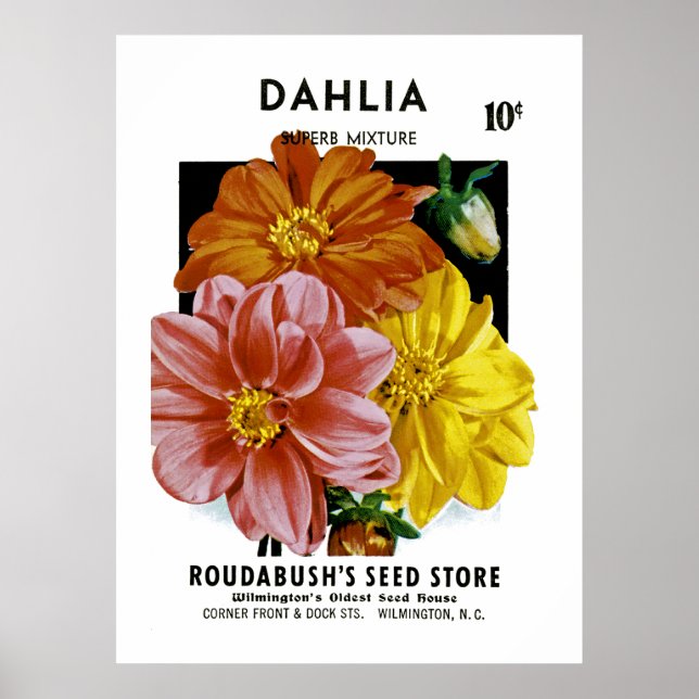Póster Dahlia Vintage Seed Packet (Frente)