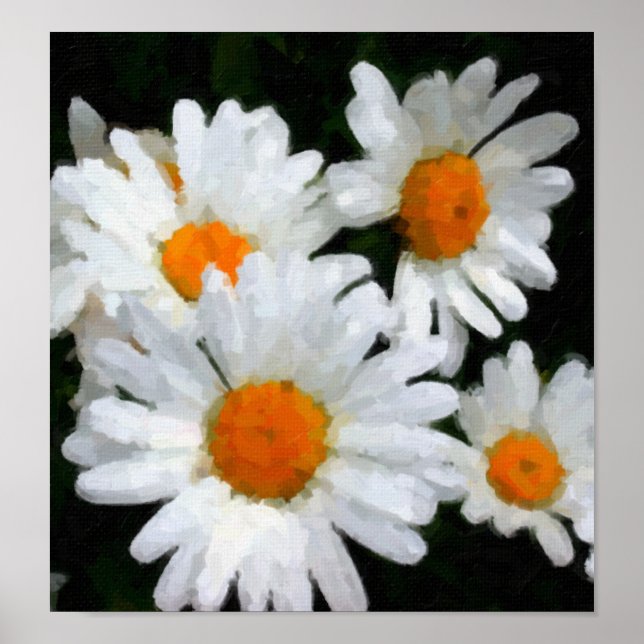 Póster Daisies (Frente)