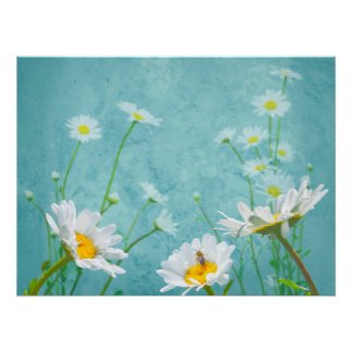 Póster Daisies on a blue background
