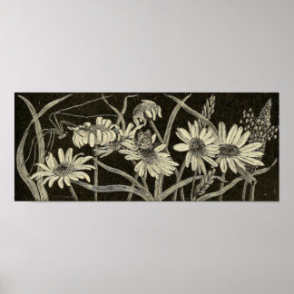 Póster Daisy