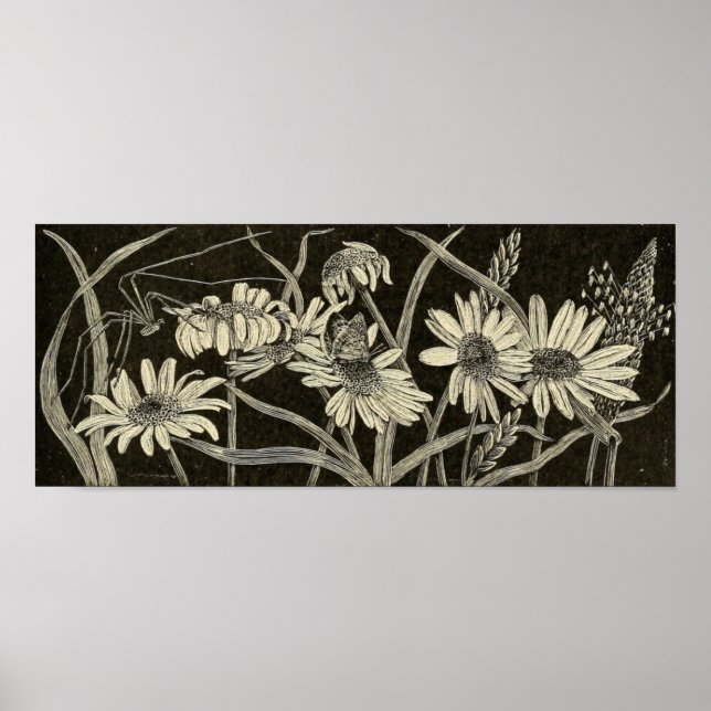 Póster Daisy (Frente)