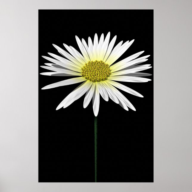 Póster Daisy (Frente)
