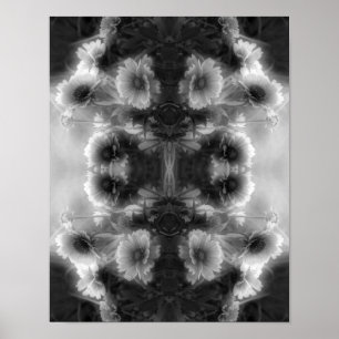 Poster Daisy Blanket Flower Black and White Abstrato