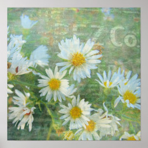 Póster Daisy Co. Arte Digital, Grunge