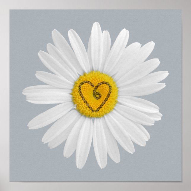 Póster Daisy Flower Love Art Personaliza o fundo (Frente)