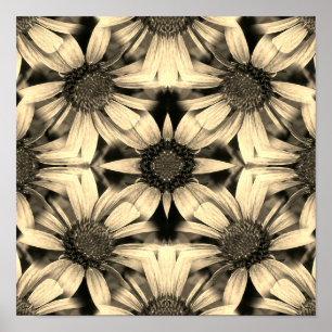 Poster Daisy Flowers Mirror Sepia Abstrato