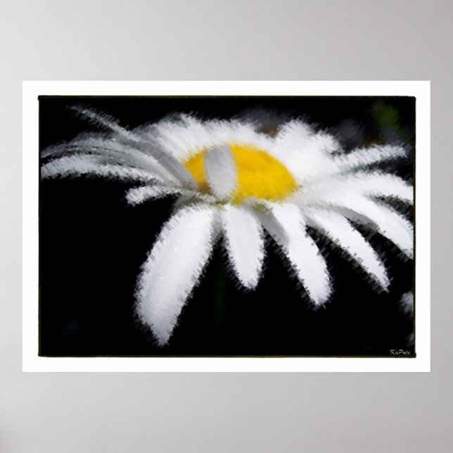 Poster Daisy no escuro (Frente)