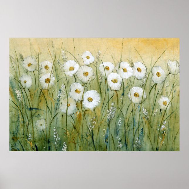 Poster Daisy Primavera I (Frente)